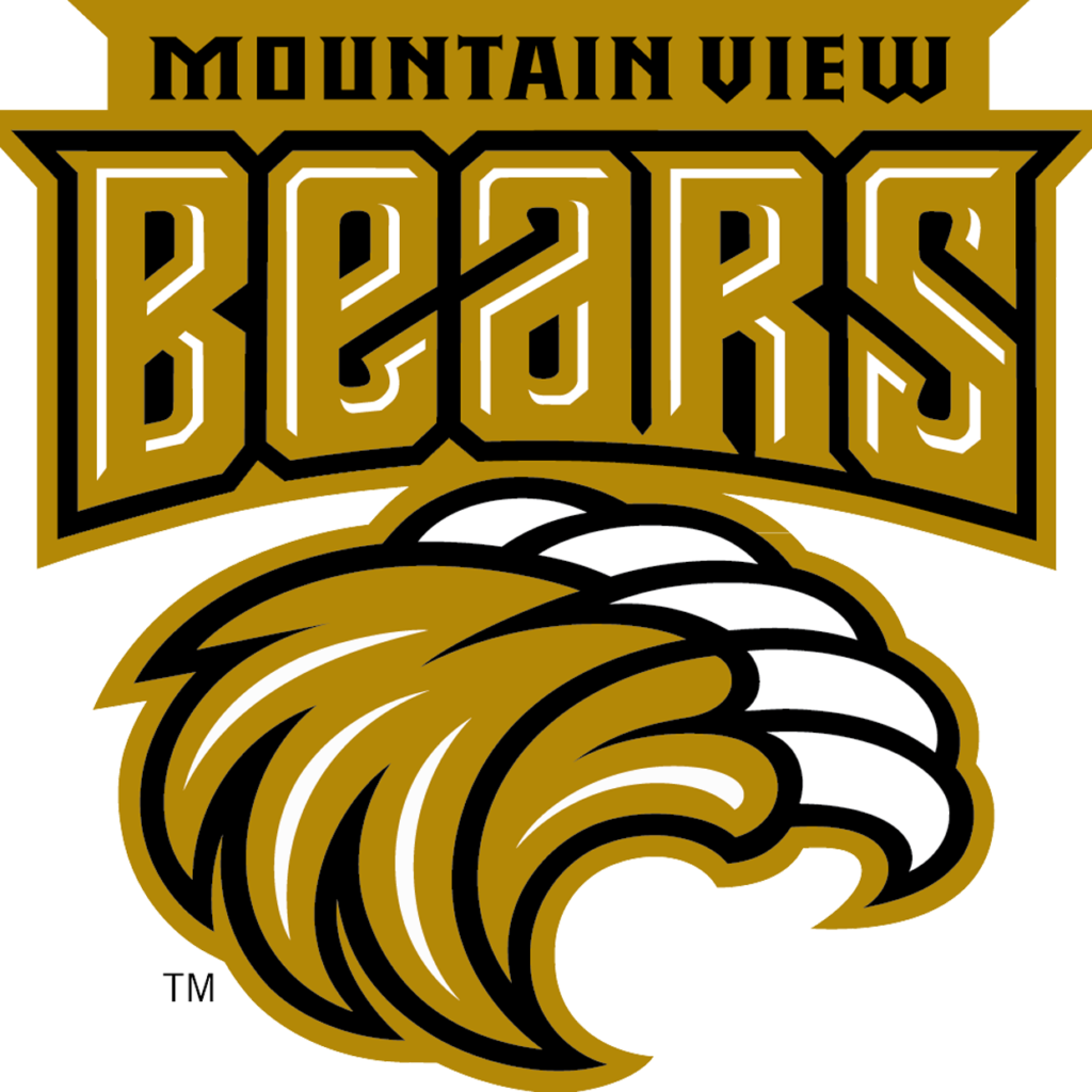 Mountain View GA Bears