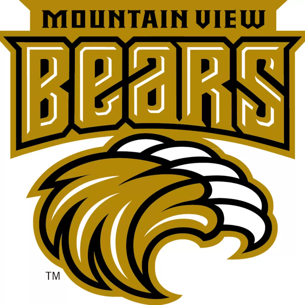 Mountain View GA Bears